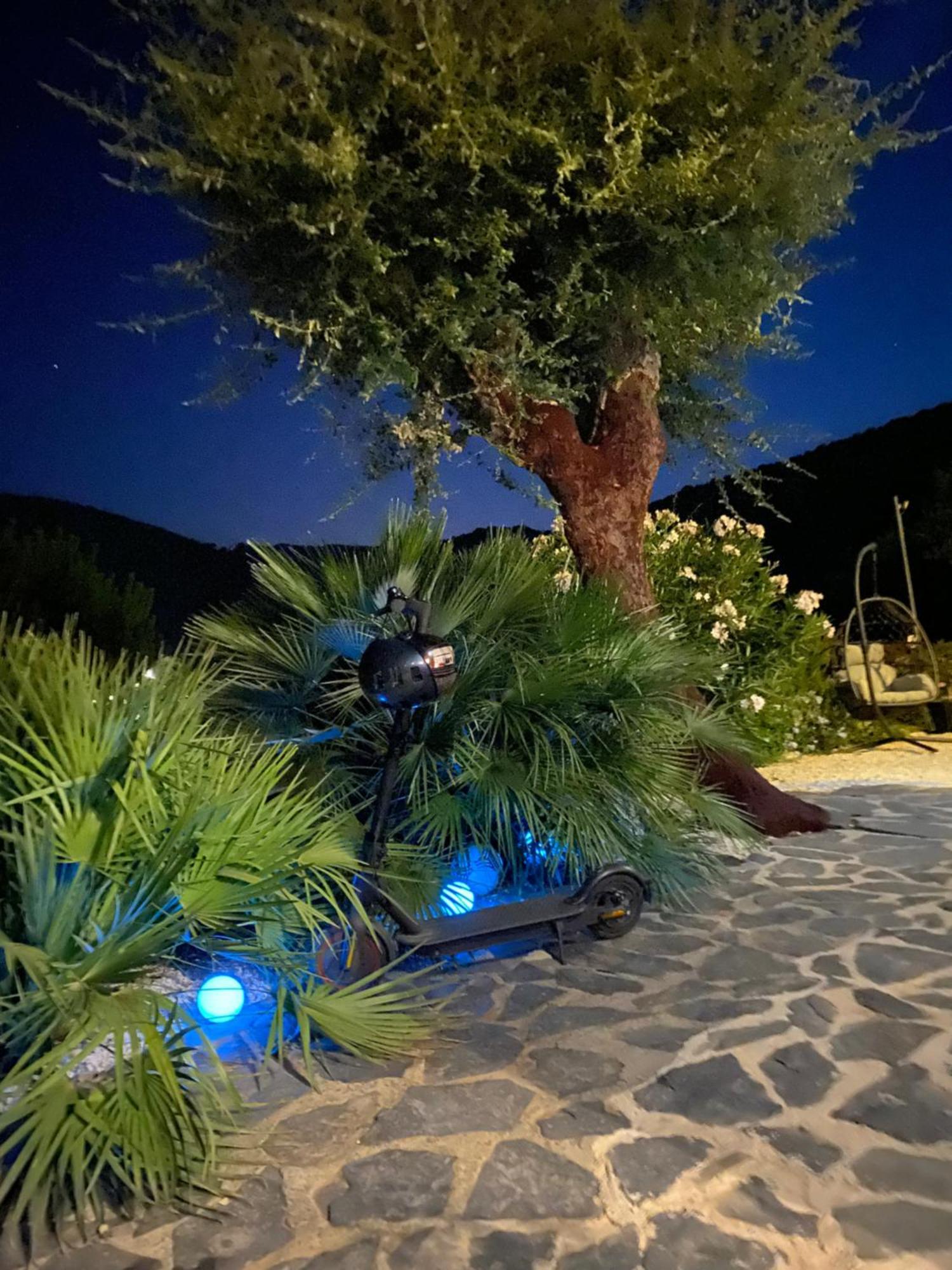 קבלייר-סור-מר Belle Chambre Privee Avec Le Jardin Privatif Et Le Jacuzzi מראה חיצוני תמונה